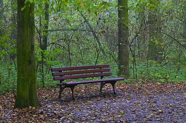 park safety