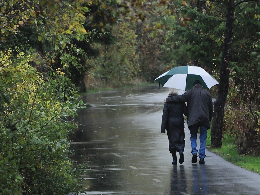 rain walkers