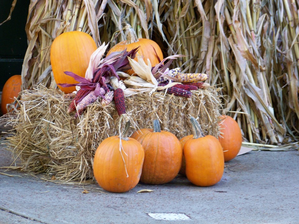 harvest