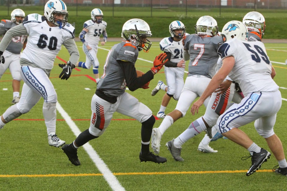 New Westminster's Taran Birdi scrambles for an opening after picking off a Belmont pass during last week's 56-7 win over Belmont.