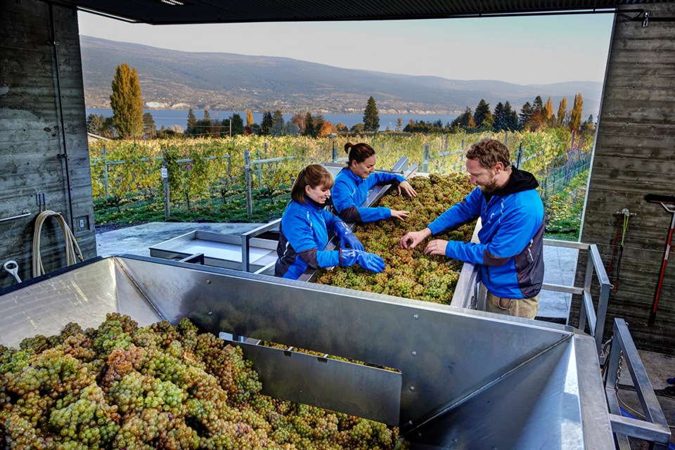 B.C. now has 250 wineries, supporting family-run businesses and tourism economies, says a coalition of vintners asking the Supreme Court of Canada to allow them to sell their wines across Canada.