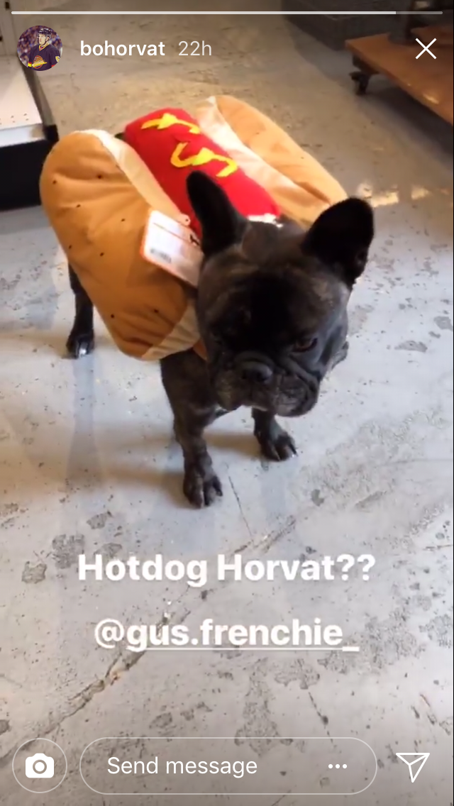 Halloween 2017 - Gus Horvat as Hotdog Horvat