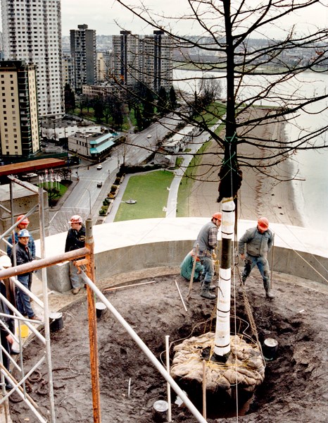 Pictured is the original tree as it was installed atop Eugenia Place in the late 1980s. Photo courte