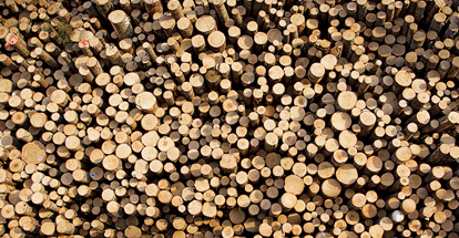 Lumber barons. They are bad hombres.