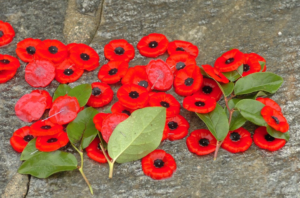 poppies