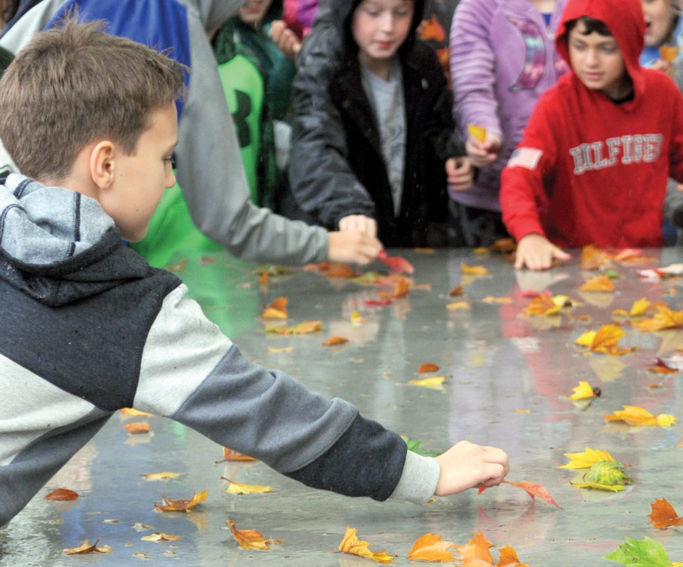 cove cliff outdoor classroom