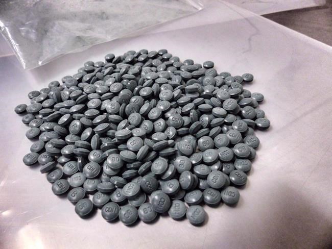 The coroners service said the powerful synthetic opioid fentanyl was detected in 83 per cent of the deaths this year — an increase of 147 per cent over the same period in 2016. In most cases, fentanyl was mixed with cocaine, heroin or methamphetamines.
