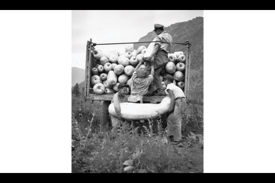 Japanese families quickly became experts at gardening and farming during the Internment.