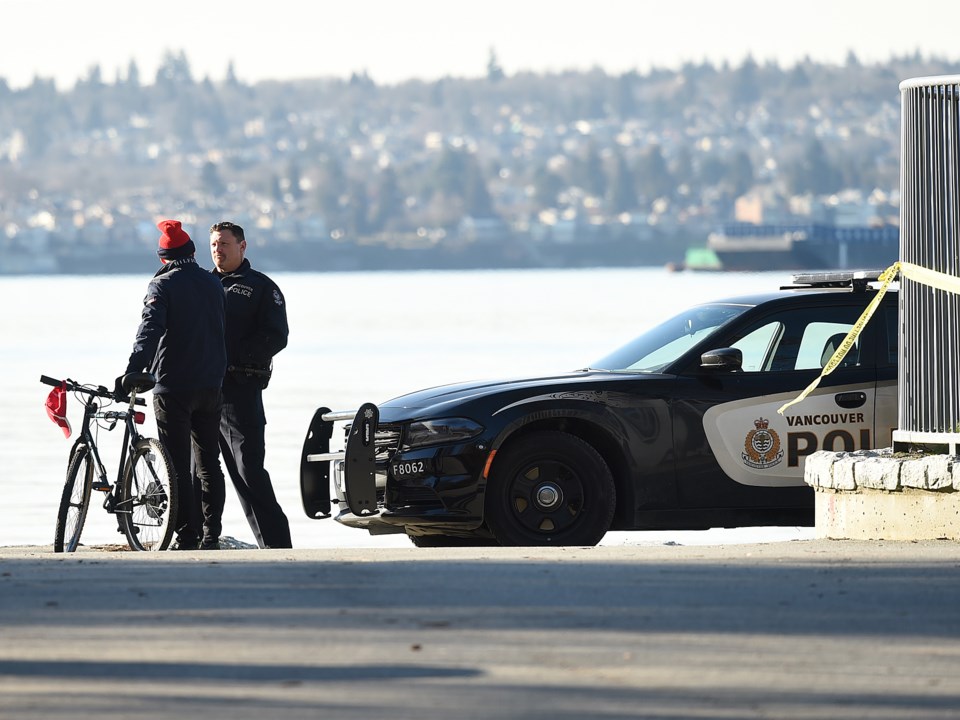 stanley park attacks