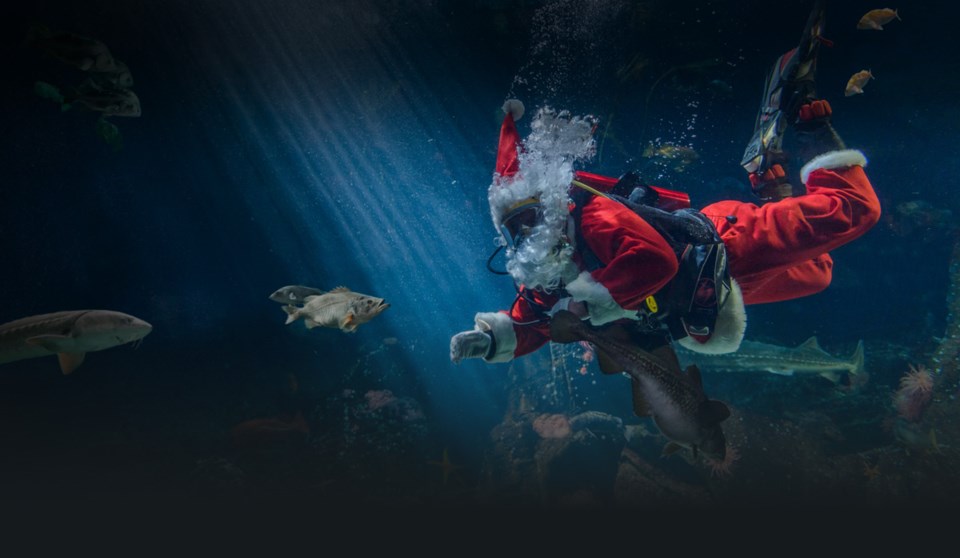 Scuba Claus Vancouver Aquarium