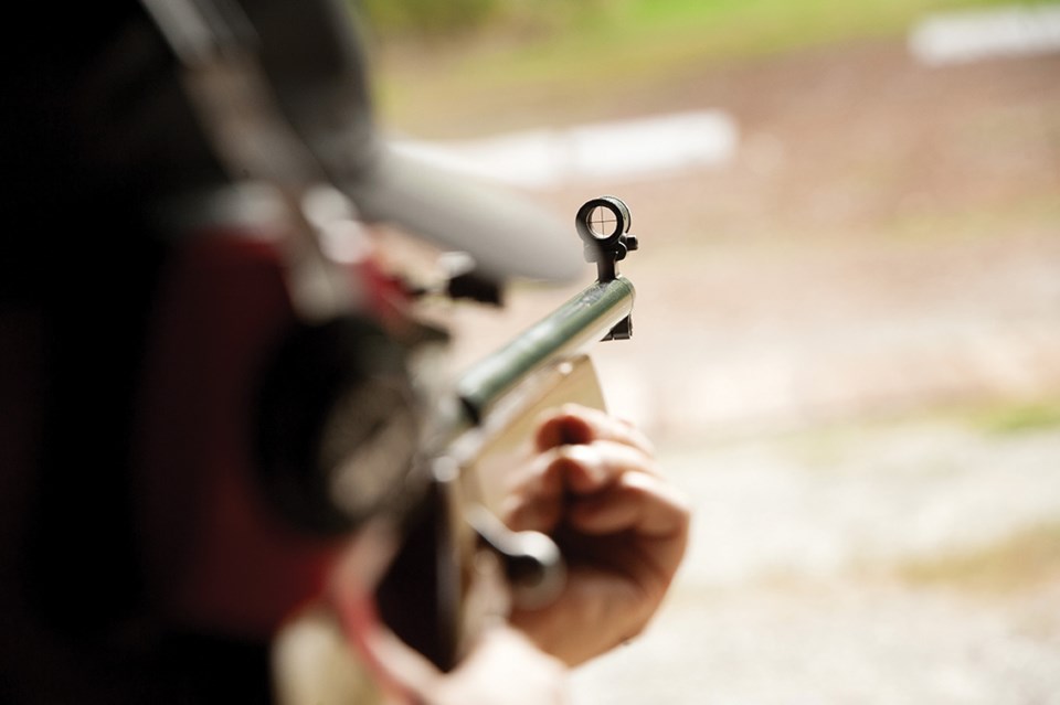 gun
