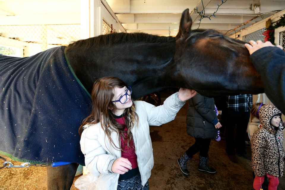 Burnaby Horsemen's Association