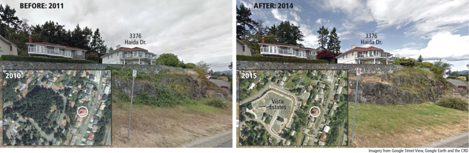 3376 Haida Dr., before and after tree removal