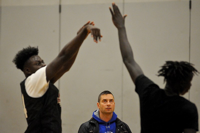 Pinetree basketball