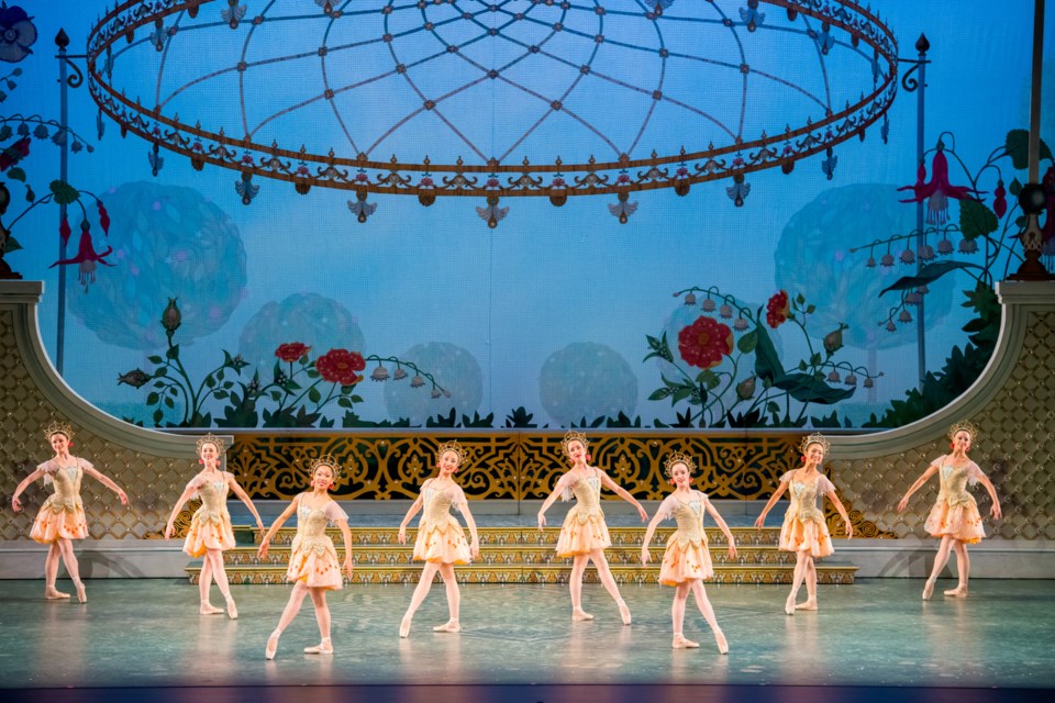 Alberta Ballet company artists in The Nutcracker. The production is returning to the Queen Elizabeth Theatre Dec. 28 to 30.