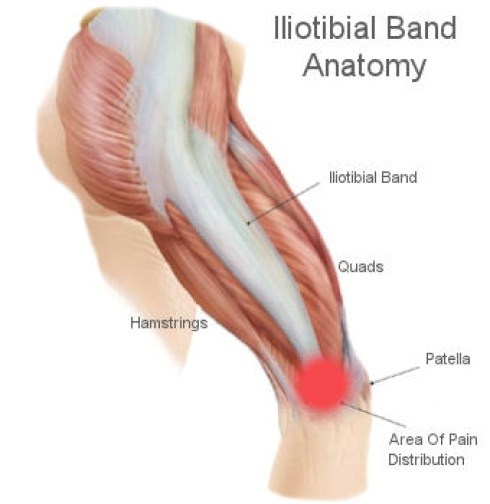 Anatomy of the IT Band