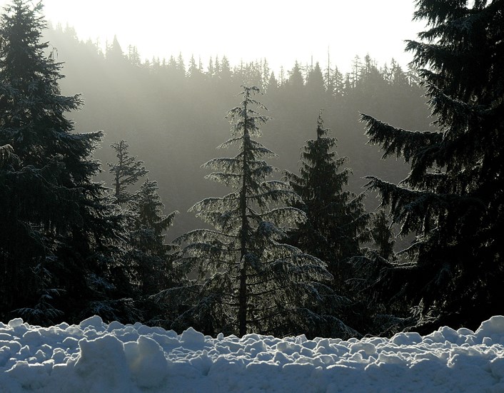 AdventureSmart knows what you need to tackle wild B.C._1