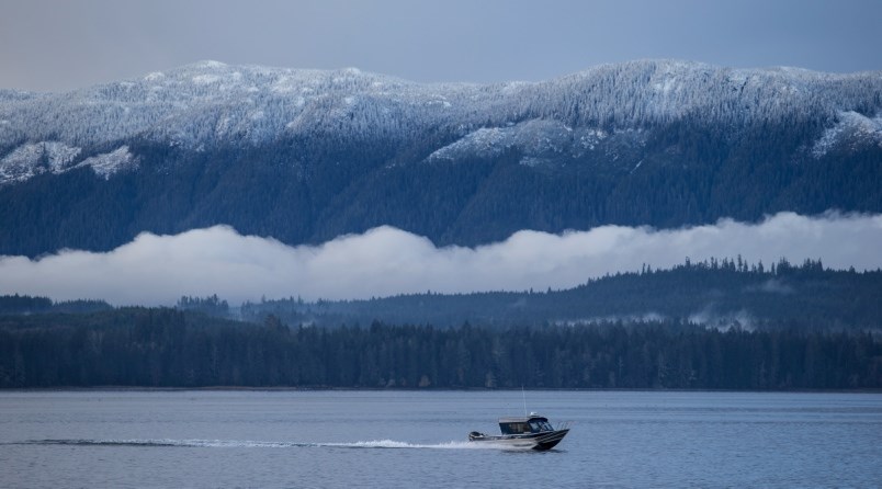 B.C. fish farms: a tangled net_3
