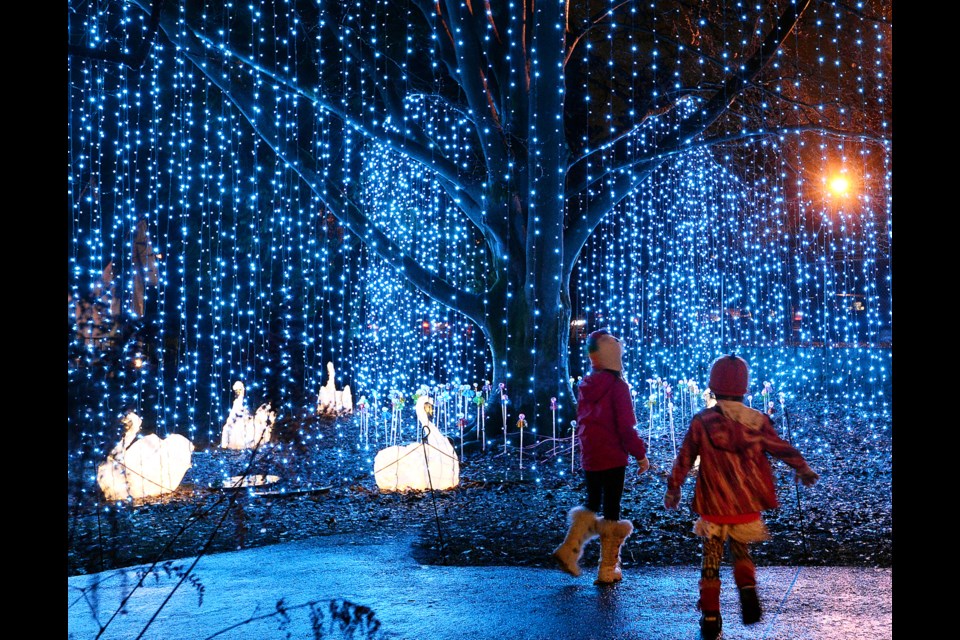 Visitors check out the Seven Swans A Swimming light display. (Hint: this may come in handy for the 12 Days of Christmas Scavenger Hunt.)