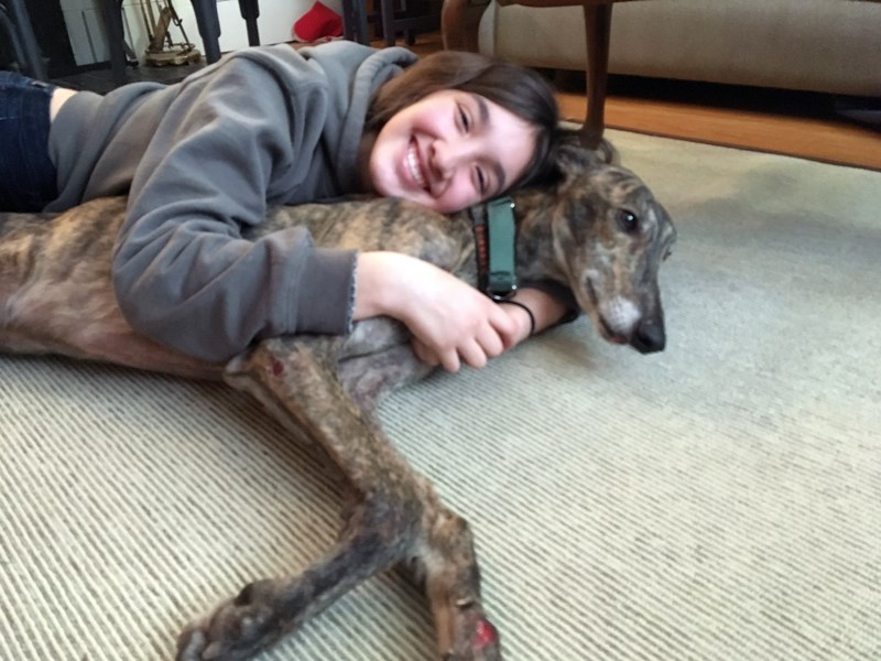 Daniel the greyhound gets a hug from owner Samantha Kirkland-Yuen. The canine was found on Burnaby Mountain Tuesday morning after going missing for nearly 10 days.