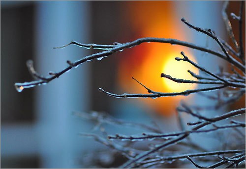 winter