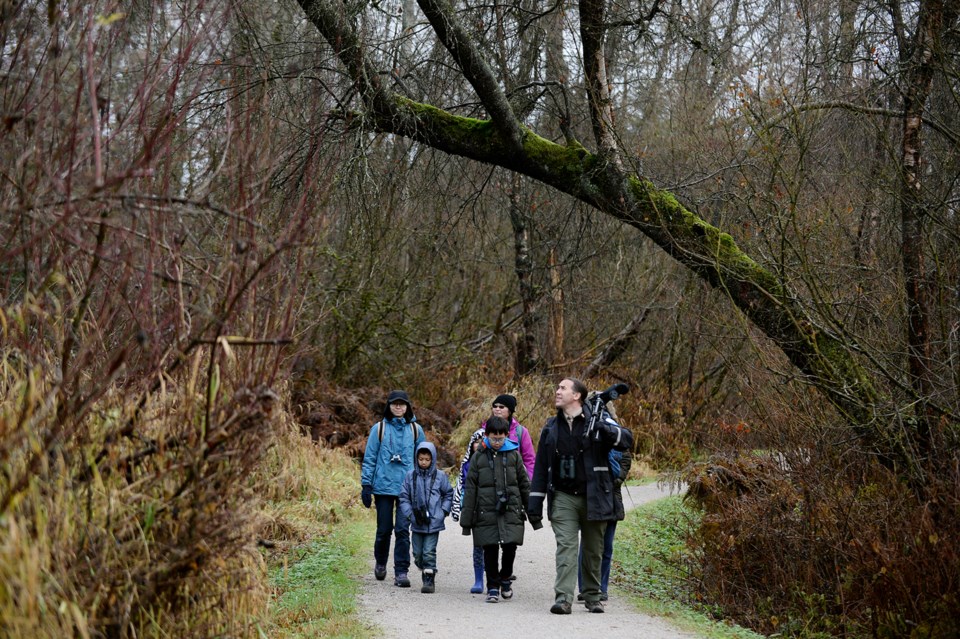Christmas Bird Count for Kids, Burnaby Lake