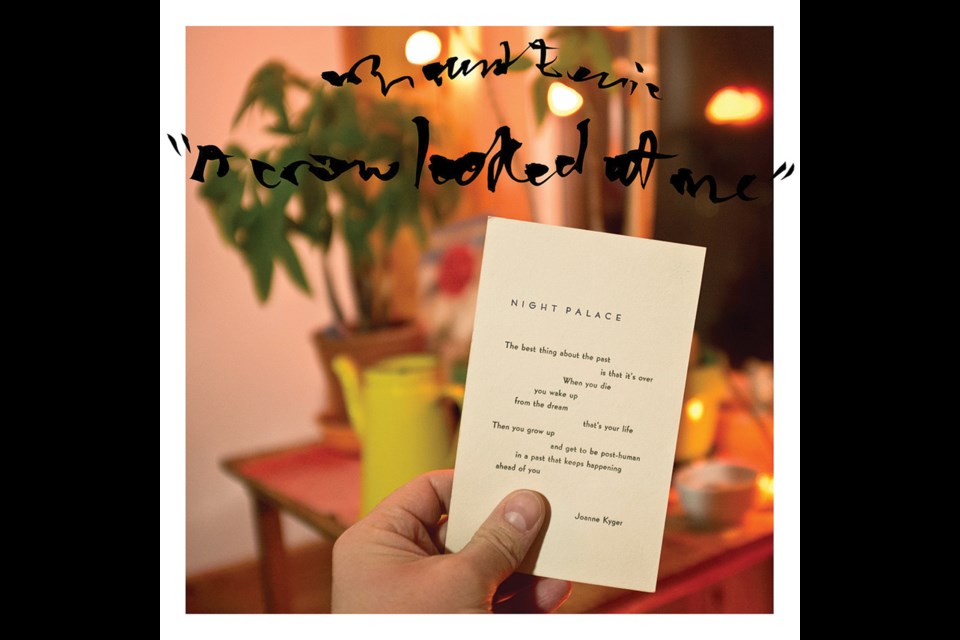 Mount Eerie - A Crow Looked At Me (P.W. Elverum & Sun)