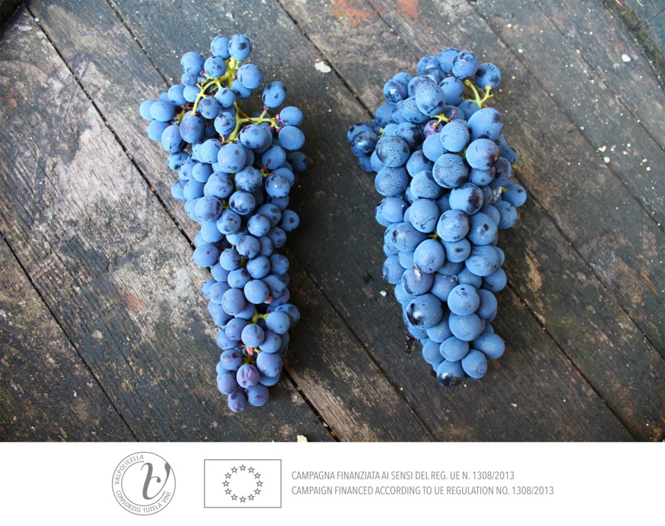 valpolicella