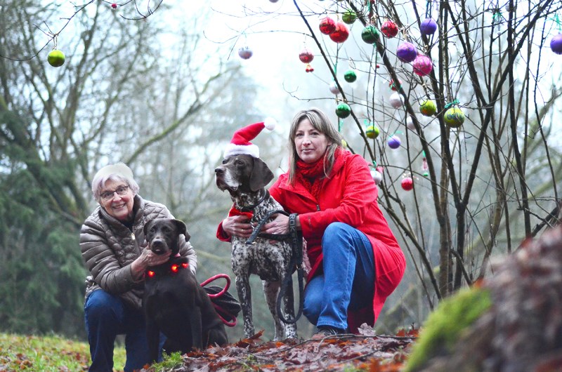 Longtime North Burnaby resident Paula Candiago (left) and her chocolate lab, Gibbs, strike a holiday pose on the Confederation Park off-leash dog trail with their regular walking buddies, Mary Briggs and Hoss, an 11-year-old German shorthaired pointer. The two women teamed up this month to decorate a leafless tree on the trail with Christmas ornaments bearing the names of dogs that regularly walk, run and snuffle along the path.