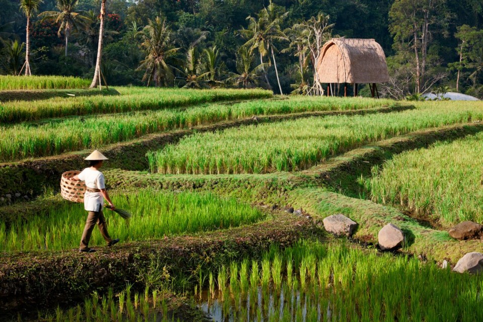 Bali