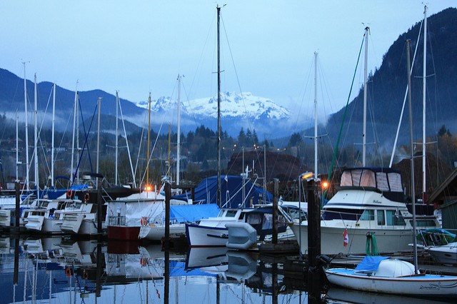 boats