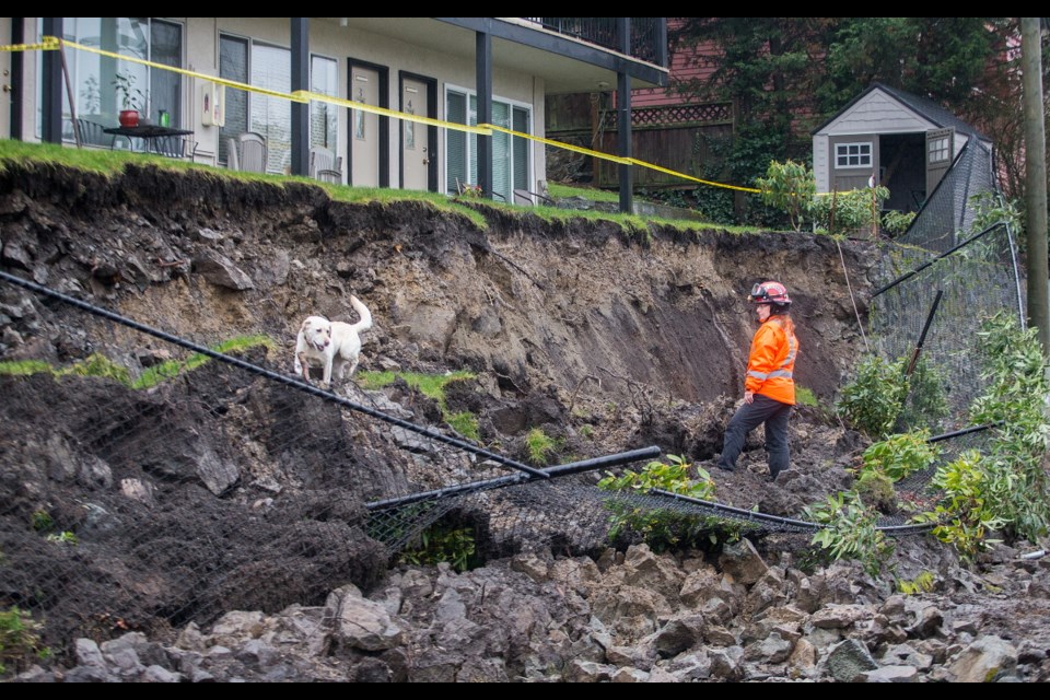 Valerie Berben and her dog Cassie search through the debris for anyone who might have been buried when a rock wall collapsed near a bus stop on Oak Bay Avenue on Tuesday, Dec. 19, 2017. The did not find anyone.