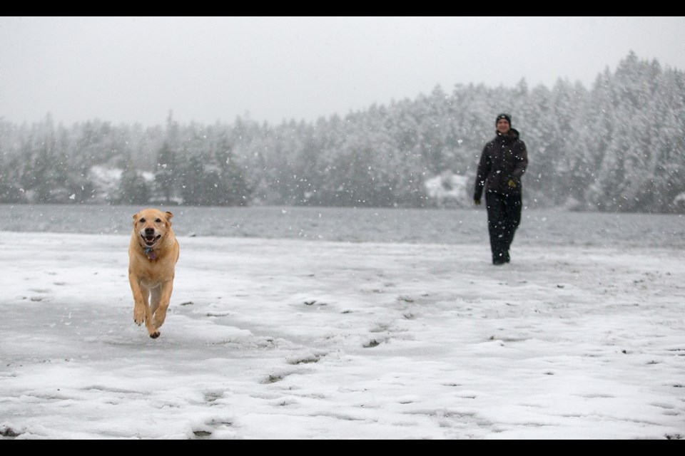 Monica Powell takes her dog, Juno, for a morning walk in the snow at Thetis Lake.