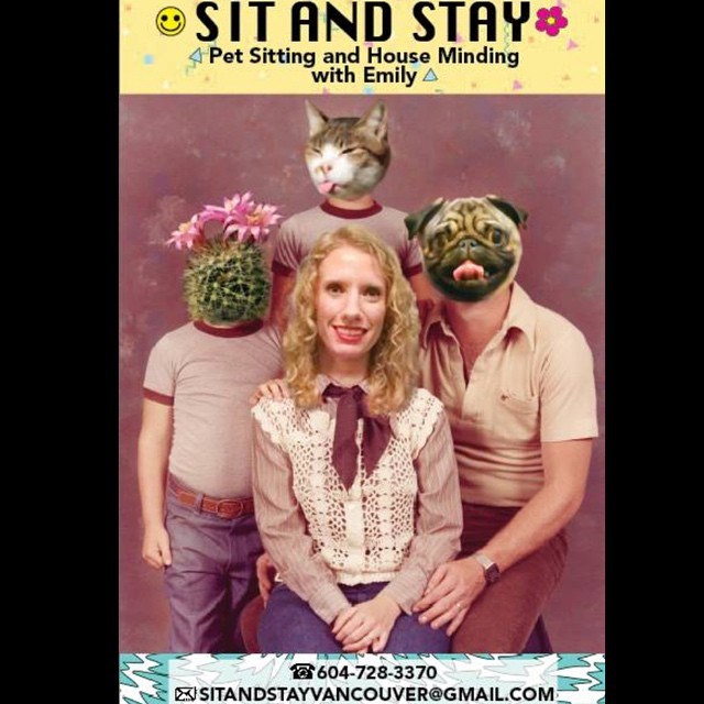 sitandstay pet-sitting