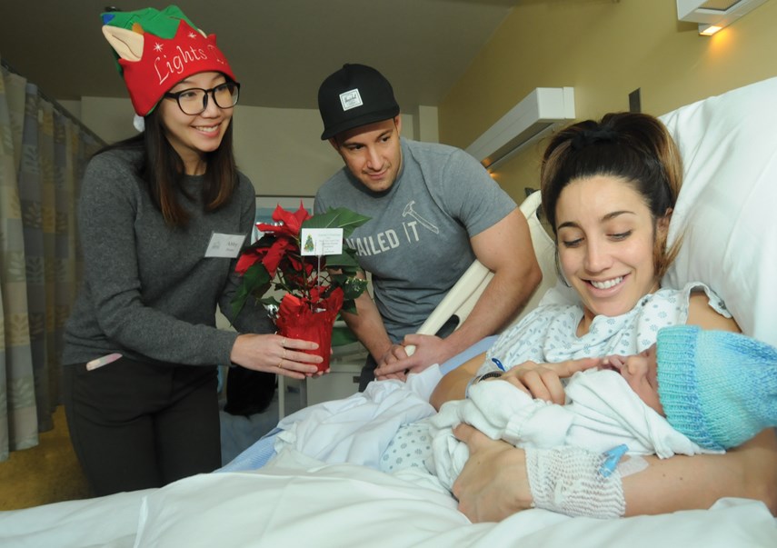 LGH Poinsettia delivery