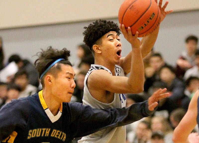 Pinetree basketball