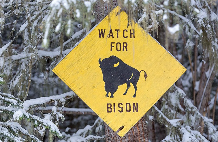 A warning sign on the driveway up to the Kole Creek Bison Ranch. The ranch is owned by Vern and Verna Wright.