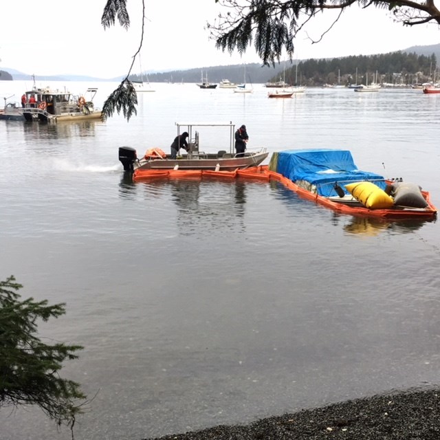 Photo - Brentwood Bay boat sinks