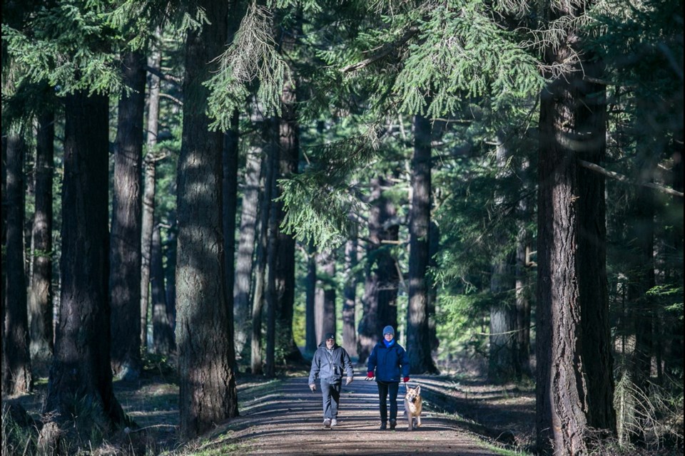 Taking a walk that lasts at least 20 minutes two days each week is a realistic goal.