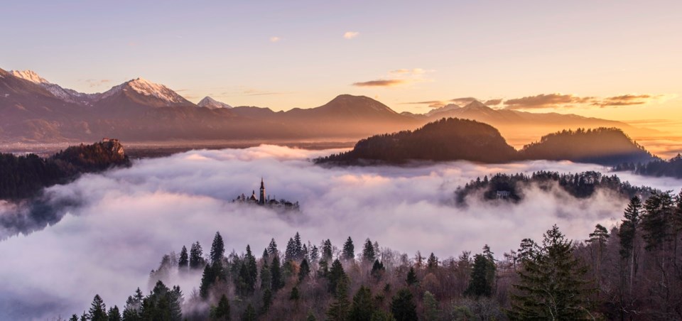 Fog