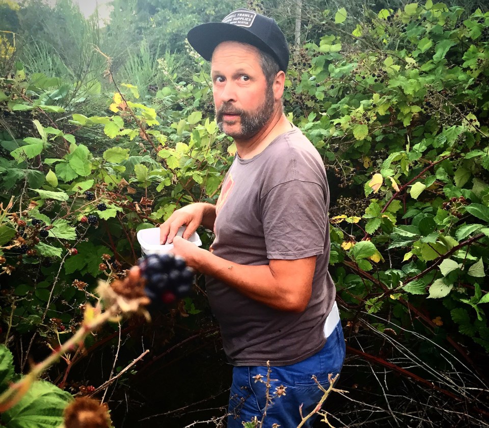 Mayne Island Brewing Company owner/brewer Michael Garratt forages for wild blackberries for use in h
