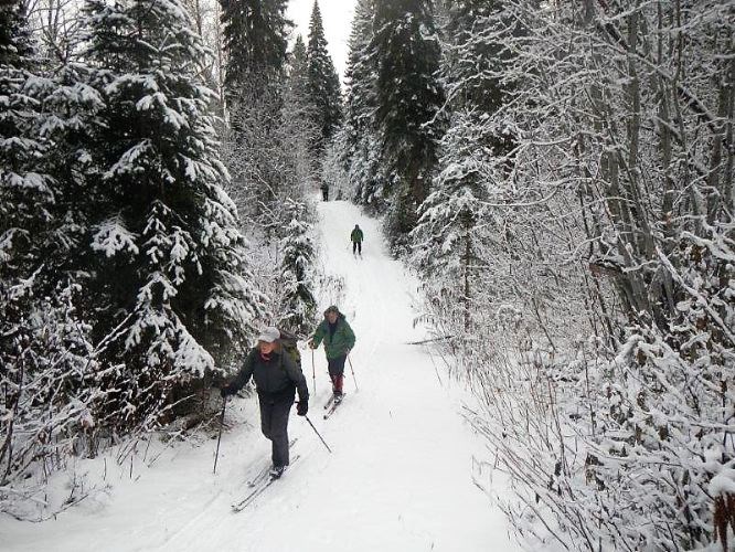 birchleg-ski.10_192018.jpg