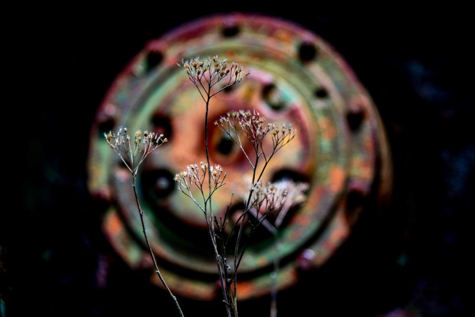Ron Jerome's Colours of Rust is part of the Burnaby Photographic Society showcase.