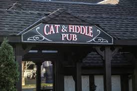 Cat and Fiddle