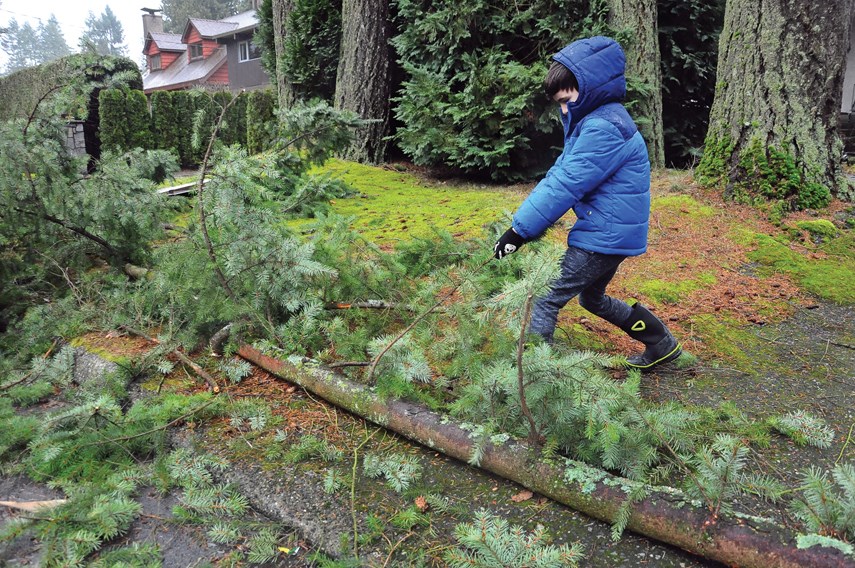 Eight-year-old Aiden Naghibzadeh tidies up branches that fell next to his family car in Pemberton Heights on Sunday, Jan. 21 following a wind warning that was issued for Metro Vancouver and Vancouver Island by Environment Canada.