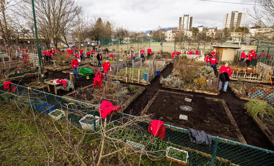 Trend Micro staff visited a community garden in Vancouver