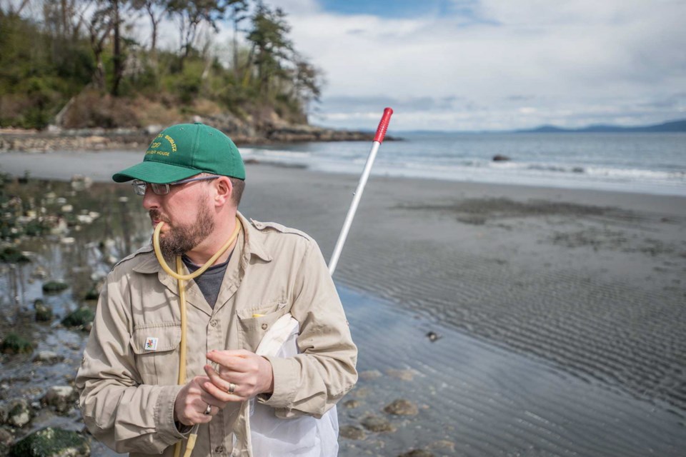 Joel Gibson collecting specimens at Arbutus Cove Park.