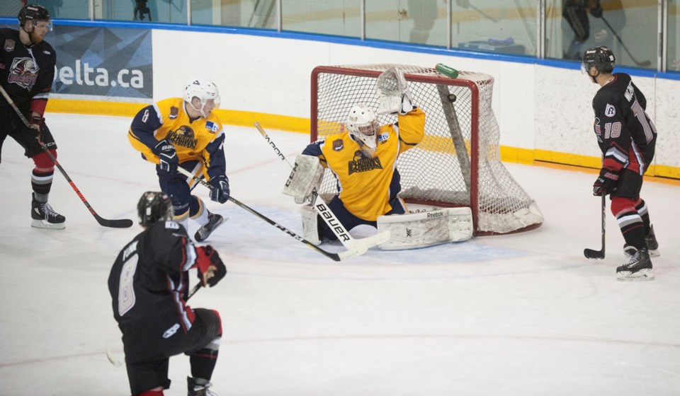 Sockeyes