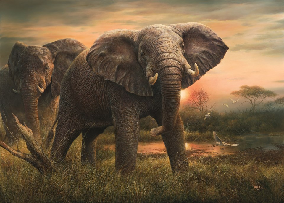 Denis Mayer Jr., Facing the Giant