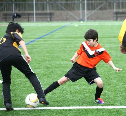 img-0-6153437.jpg